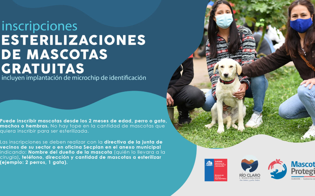 Jornadas de esterilizaciones de mascotas Río Claro 2021